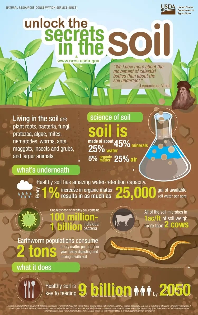 6 Fabulous Infographics about Soil Health [INFOGRAPHIC]